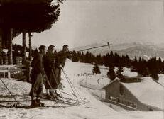The Swiss Alps 1935 