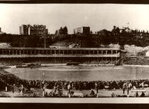 Polo Grounds N.Y. Giants 1905