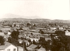 Los Angeles Looking East 189 